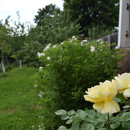 Apartman Mira SJJ Buitenkant foto