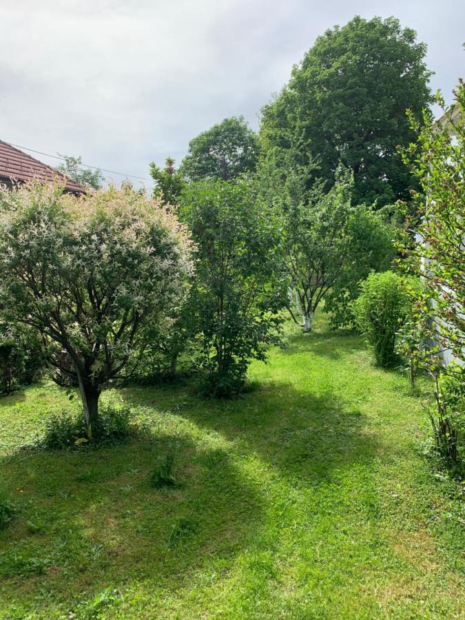 Apartman Mira SJJ Buitenkant foto