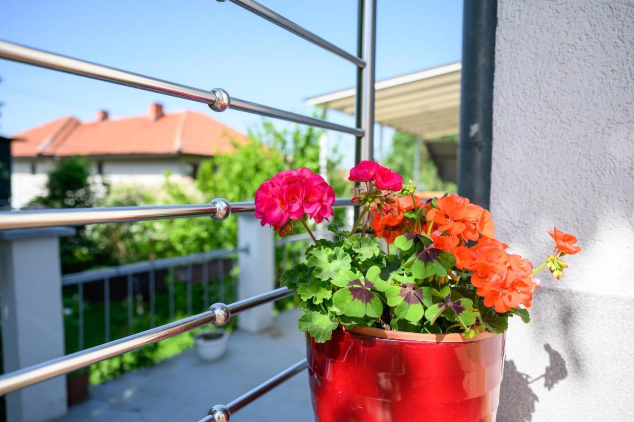 Apartman Mira SJJ Buitenkant foto