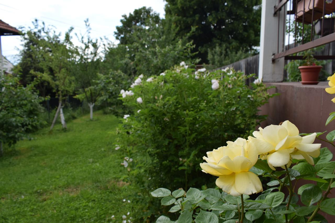 Apartman Mira SJJ Buitenkant foto